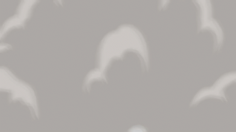 소셜박스_1.gif