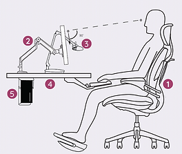 Les 5 piliers de l'ergonomie.
