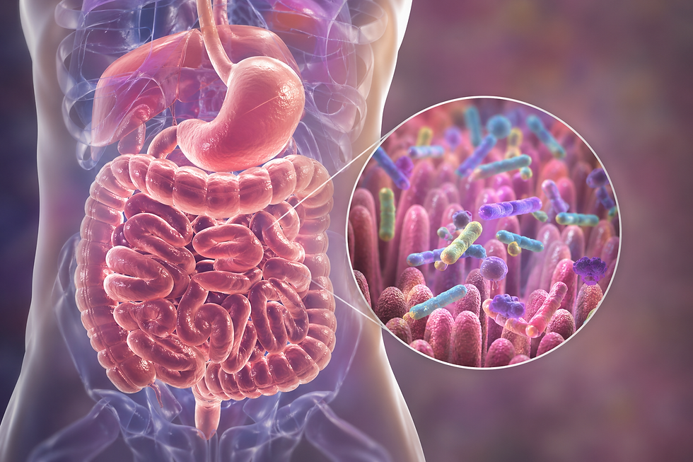 Could Your Gut Be Affecting More Than Digestion?