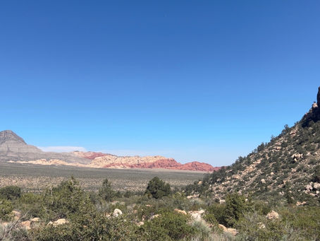 The Dice are Loaded: Part I