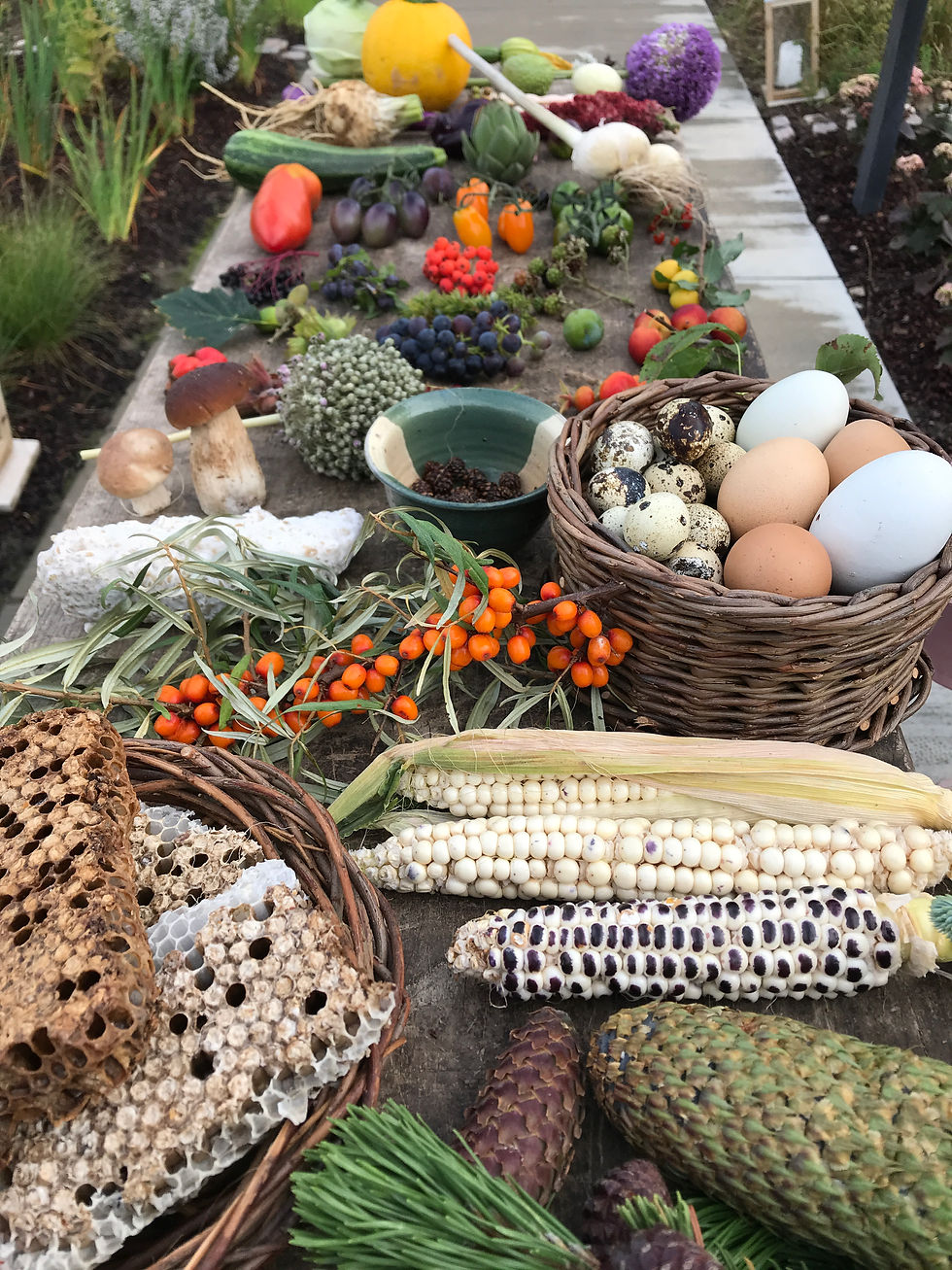 Table of ingredients at Noma's garden