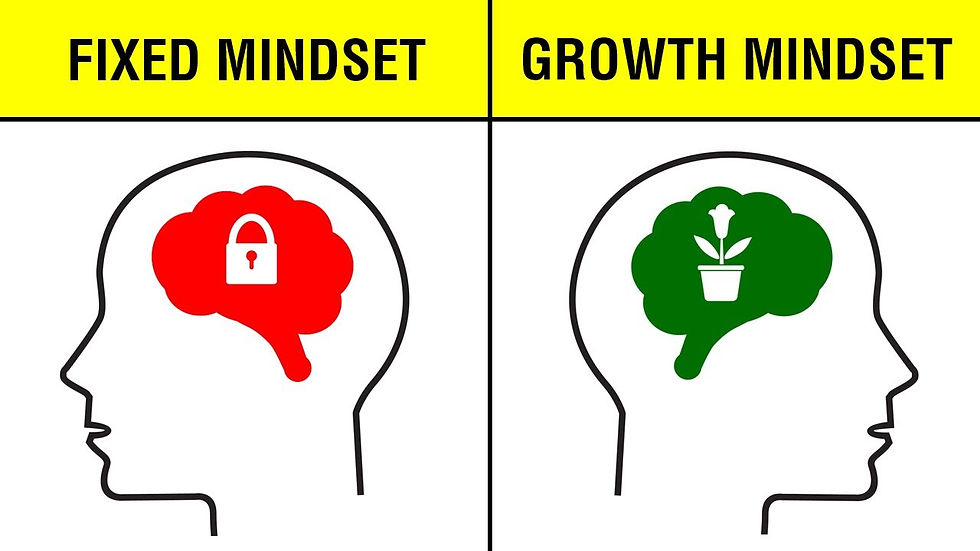 Grow mindset & Fixed mindset