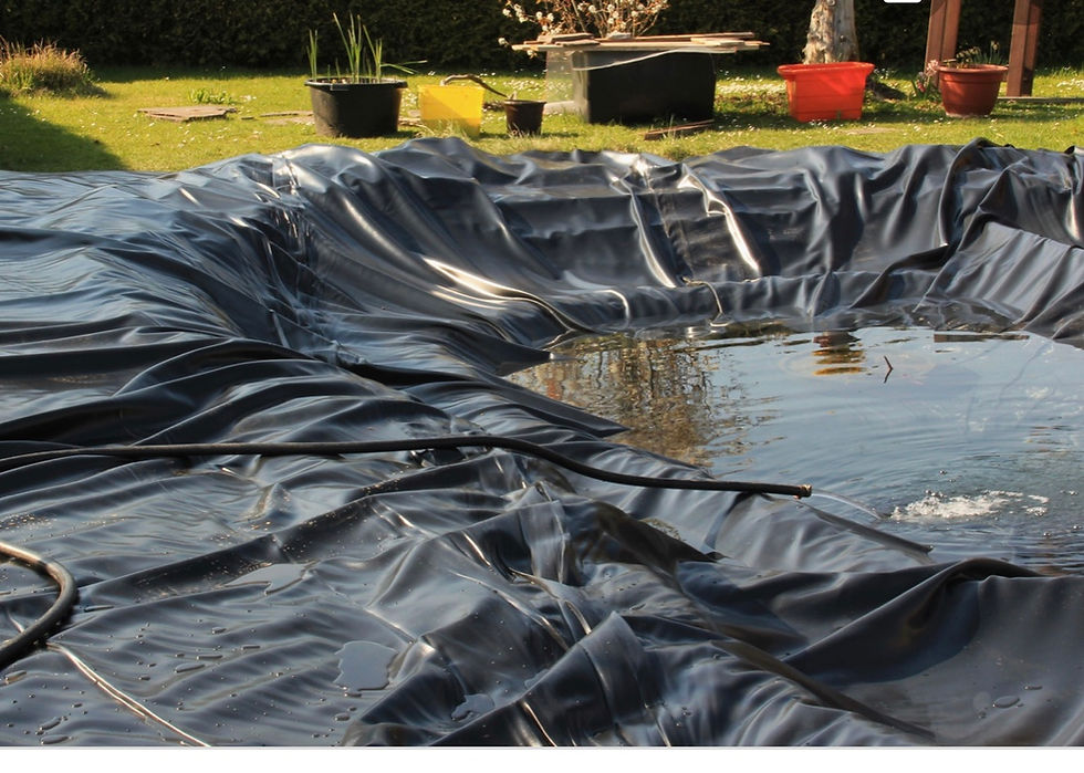 signal-2019-08-29-164423