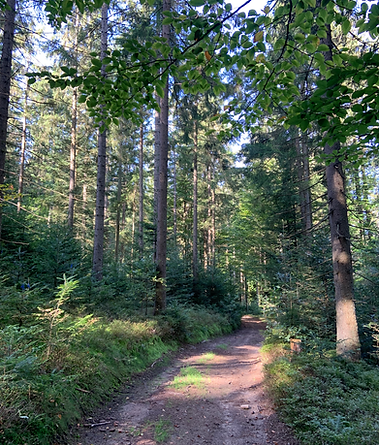 2023-09-21 09.53.46.heic