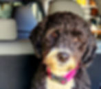 20221029_121101.jpg