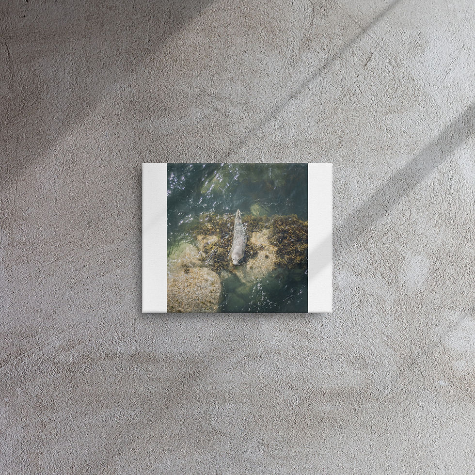 Miniature : Sceau gris