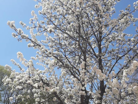 Girl Gone Dating: Huge