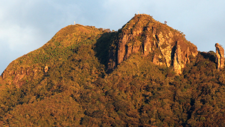 Ancestrais 6 - Anisio Gonçalves de Lins