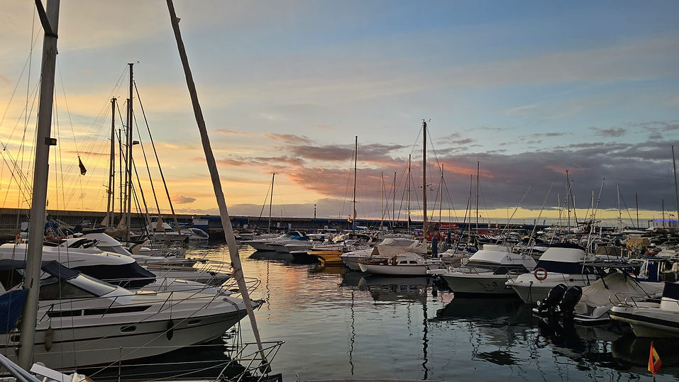 WhatsApp Image 2026-02-09 at 17.45.56 (4).jpeg