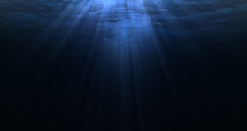 Untitled design (77).jpg