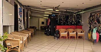 Untitled design (2)_edited.jpg