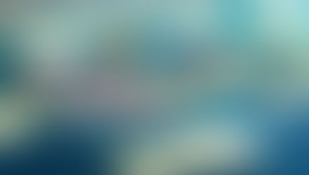 Discovering the Heart of Europe