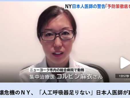 日本はNYを教訓にしましょう!