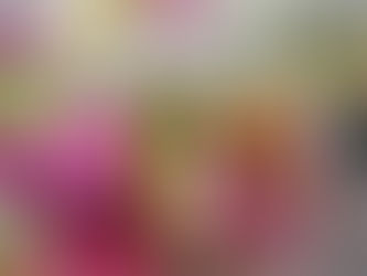 2024年12月1日9周年/10期目を迎えました!