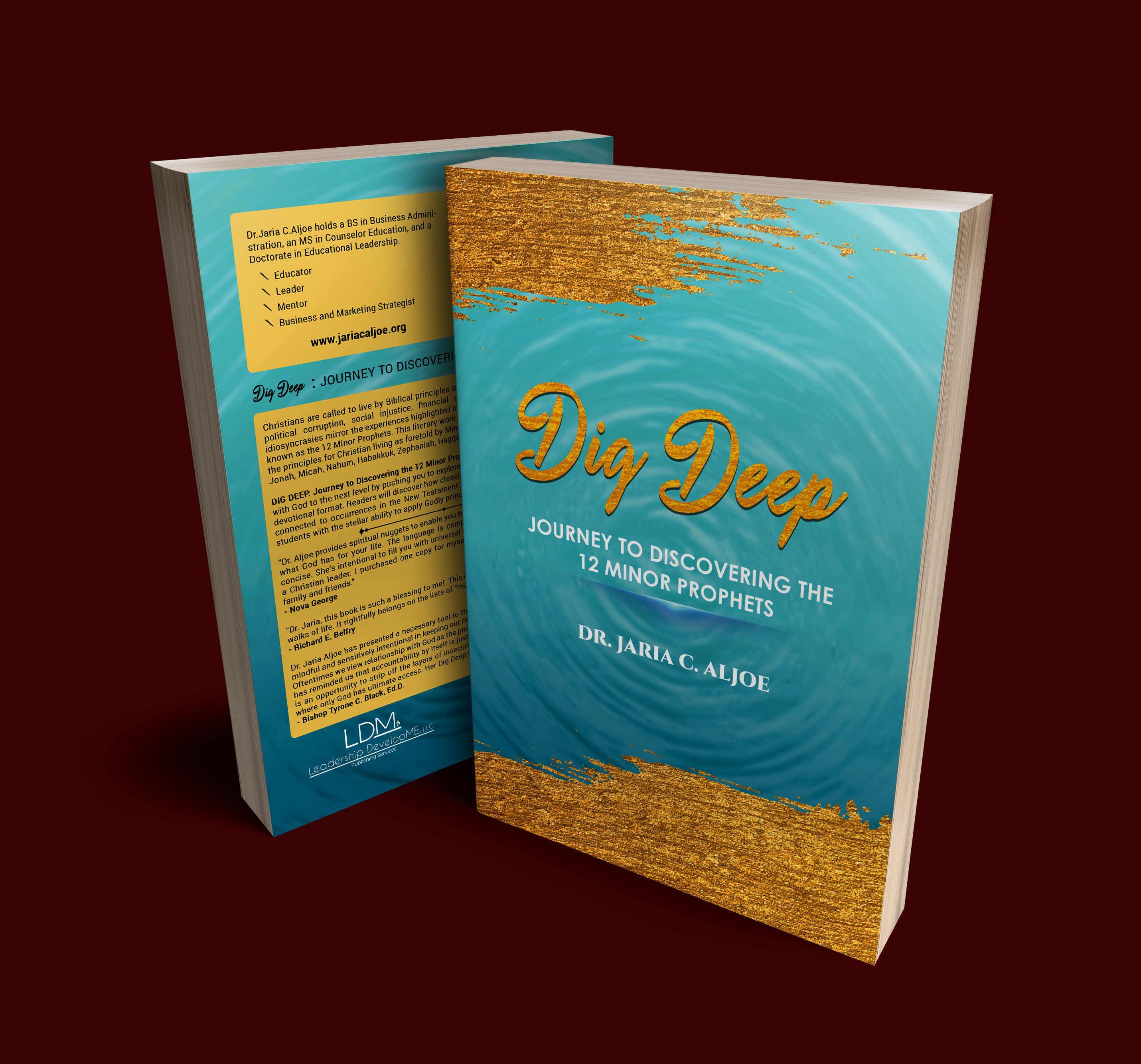 DIG DEEP: Journey to Discovering the 12 Minor Prophets