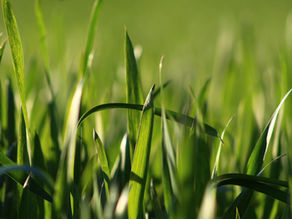 3 Easy Ways To Be More Eco-friendly