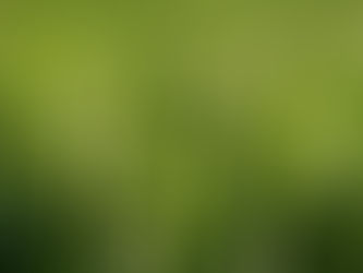 3 Easy Ways To Be More Eco-friendly