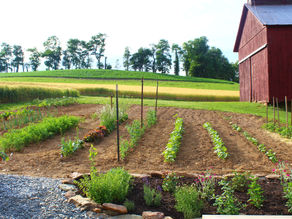 What We're Growing This Year