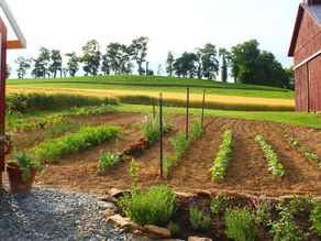 So You Want to Start A Garden?