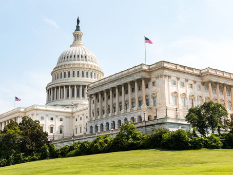 How Will the New Tax Law Affect You?