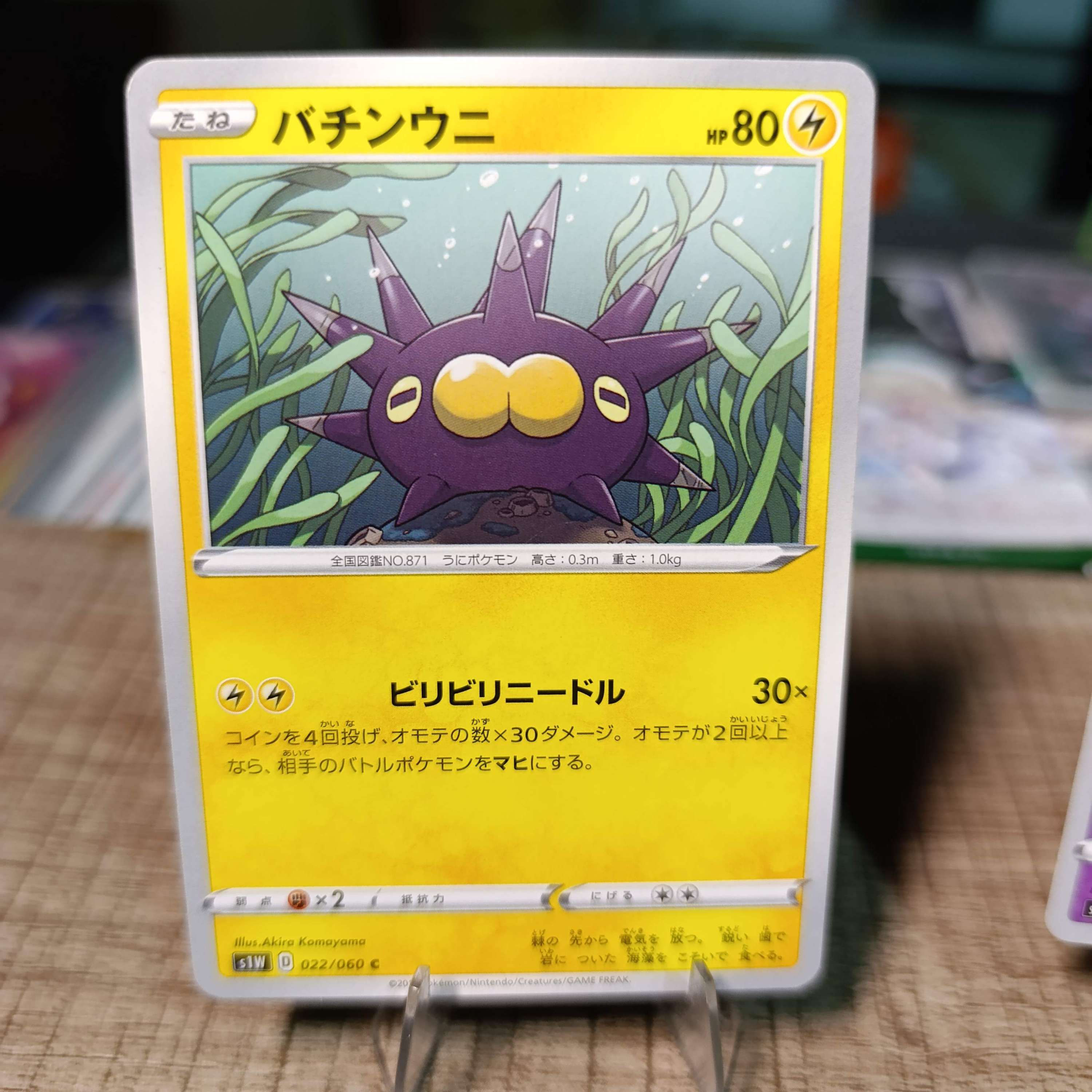 PINCURCHIN S1W 022/060