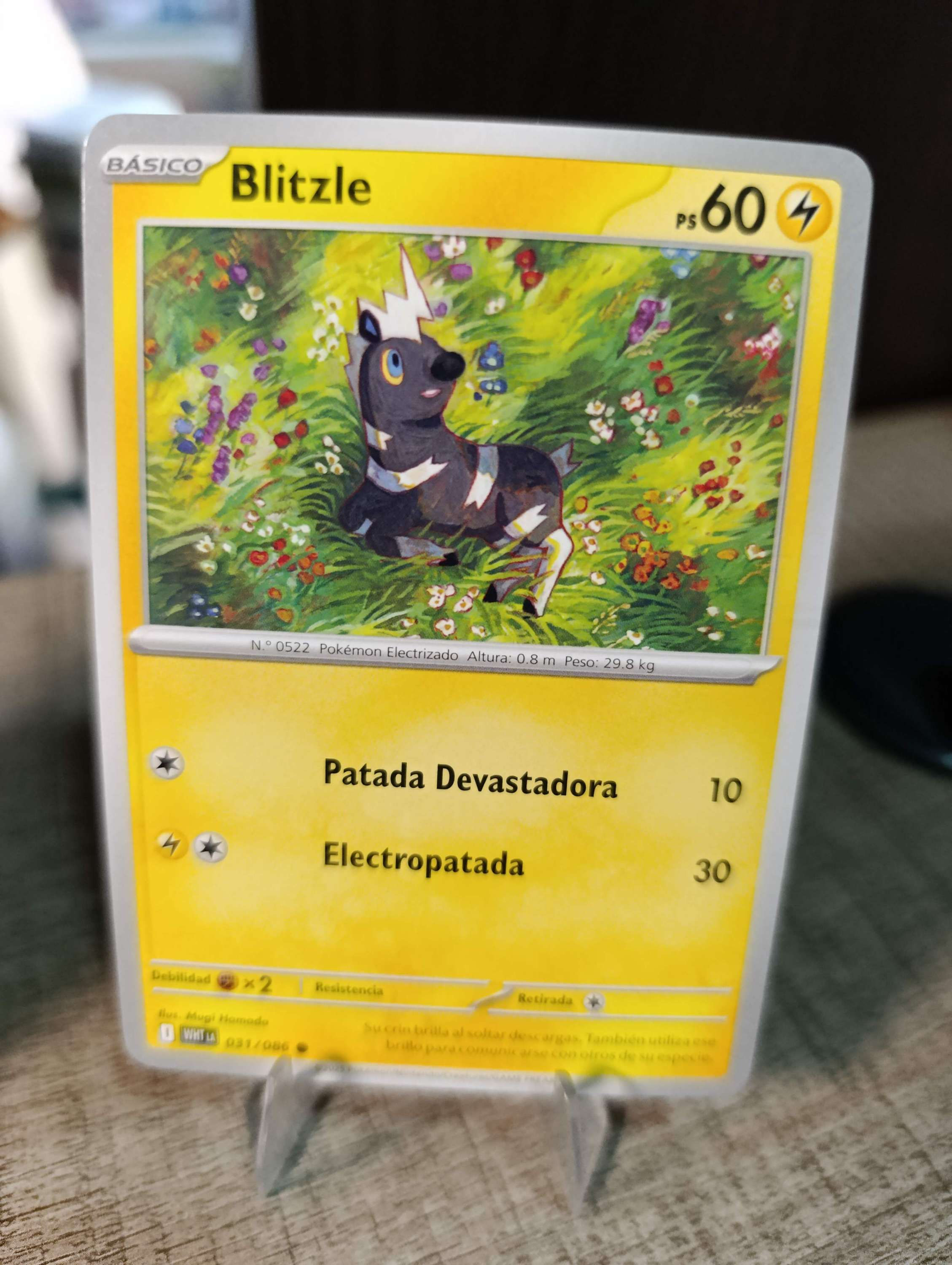 BLITZLE 031/086 LA