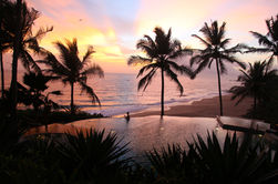 Infinity Pool (1).jpg