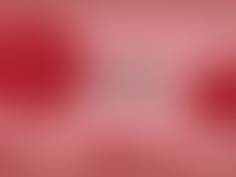 20/10 Là Ngày Gì? Hành Trình Lịch Sử Và Ý Nghĩa Sâu Sắc Của Ngày Phụ Nữ Việt Nam