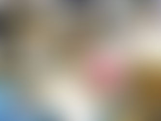 The Power of Learning Together: Inside the Montessori Multi-Age Classroom