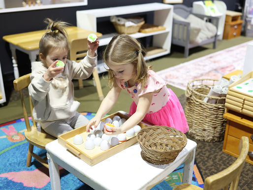 The Power of Learning Together: Inside the Montessori Multi-Age Classroom