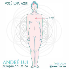  Complexidade do pensamento e do sentimento
