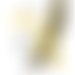 " Le Marché de la Culpabilisation des parents " Etablir les limites éducatives.