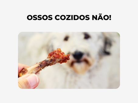 OSSOS COZIDOS NÃO!