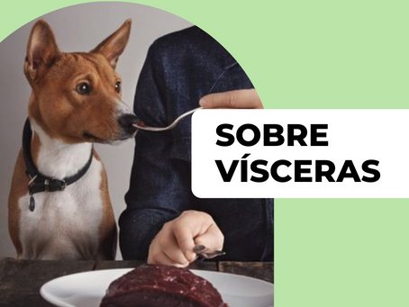 SOBRE VISCERAS PARA CÃES