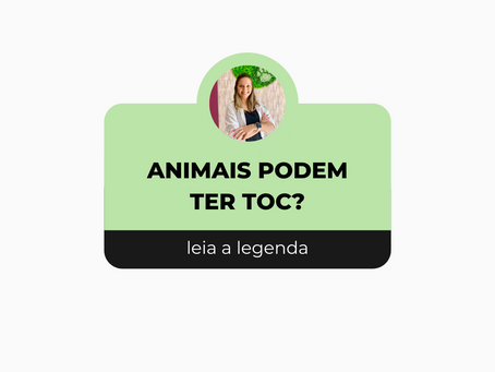 ANIMAIS PODEM TER TOC?
