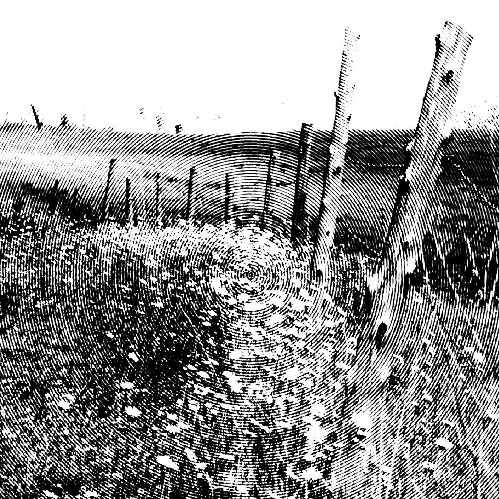 Carte de souhaits sans texte