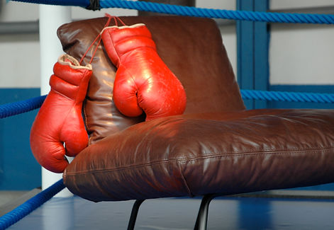 Roche Bobois présentation presse