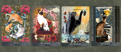 Grimalkin's Curious Cats- POCKET SIZED | MJ Cullinane