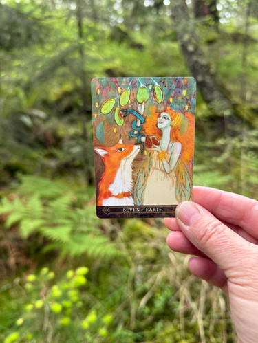 The Förhäxa Tarot (Pocket Sized) | MJ Cullinane