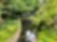 IMG_1875.jpeg