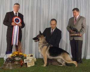 2008 Grand Victrix