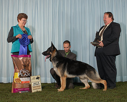 2010 Futurity Victor