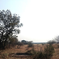 Hunting Blinds