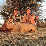 Compound Bow Hunting Warthog