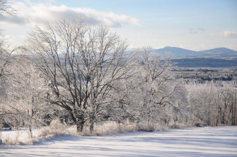 ABOUT New Sharon, Maine