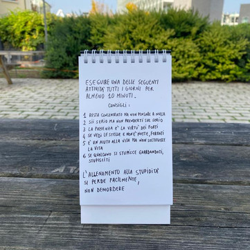 manuale-per-esercitare-la-propria-stupidit_9.jpeg