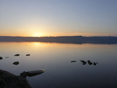 Endlich Abhilfe bei Parasiten und Besetzungen