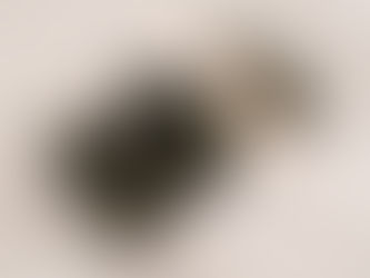 Perusahaan Sustainable "Pijak Bumi" Berasal dari Indonesia