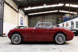 Austin Healey sprite-06