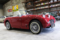 Austin Healey sprite-01